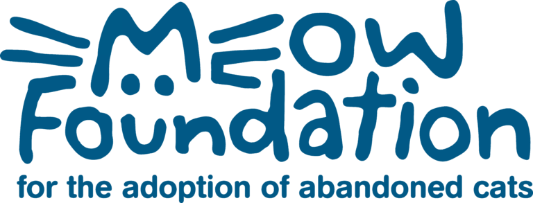 Director of Programs (Cats)